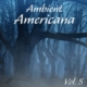 Various Artists - Ambient Americana Vol 5