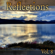 Various Artists - Reflections Vol 8