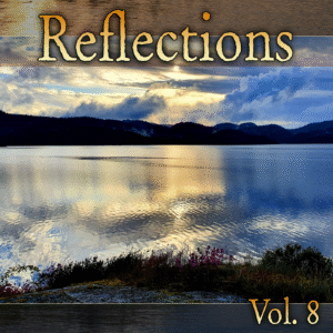 Various Artists - Reflections Vol 8